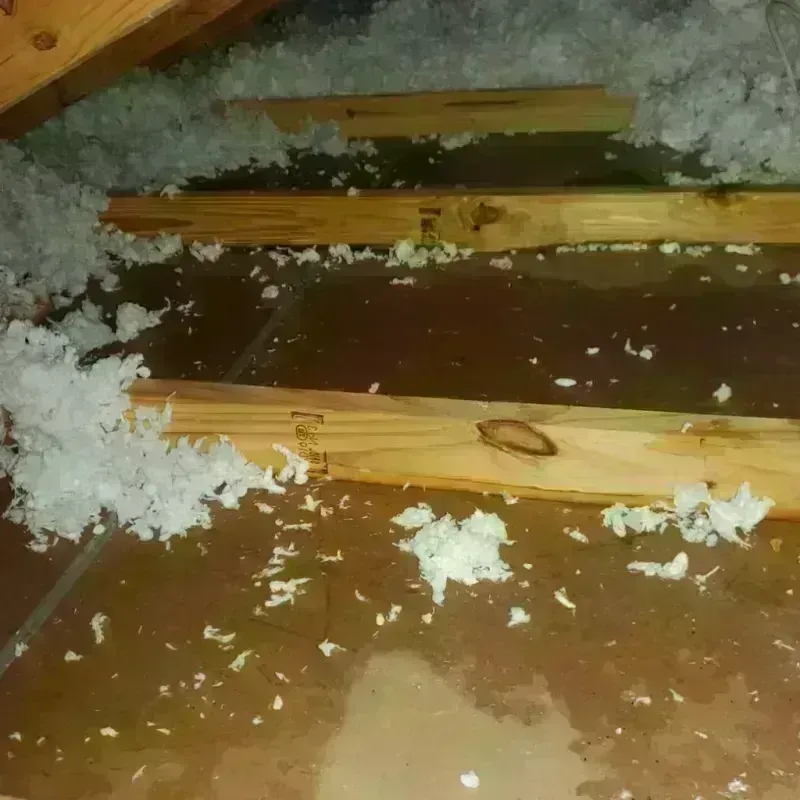 Attic Water Damage in Opp, AL